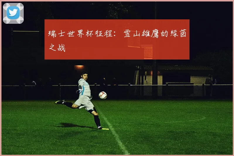 瑞士世界杯征程:雪山雄鹰的绿茵之战