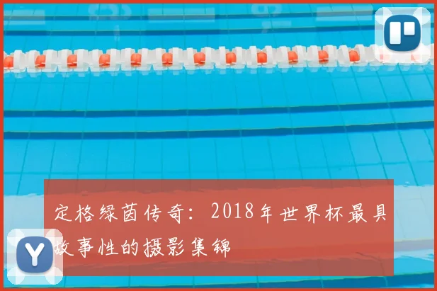 定格绿茵传奇:2018年世界杯最具故事性的摄影集锦