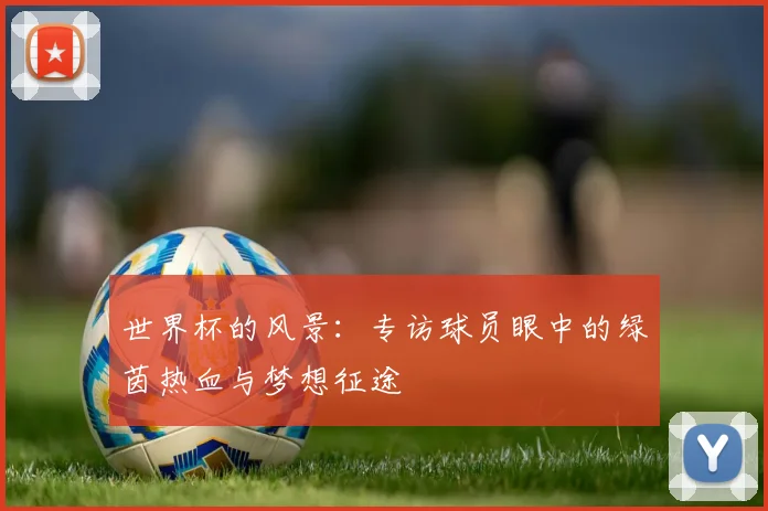 世界杯的风景:专访球员眼中的绿茵热血与梦想征途