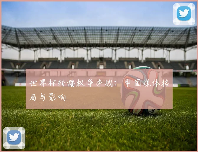 世界杯转播权争夺战：中国媒体格局与影响