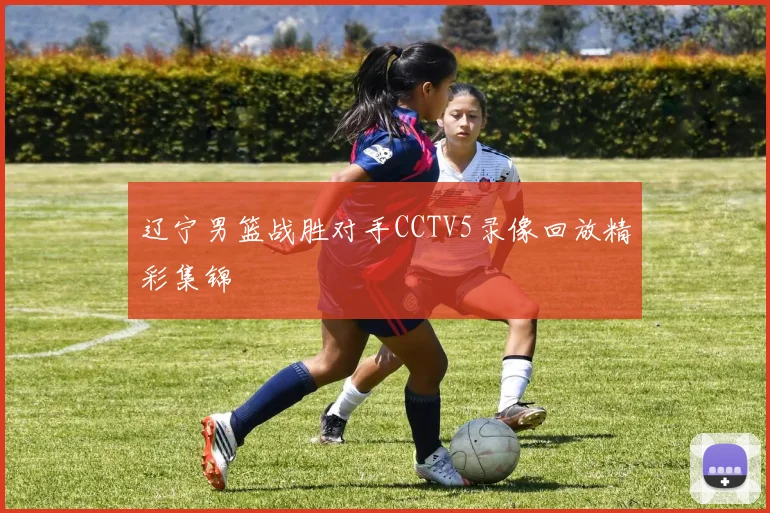 辽宁男篮战胜对手CCTV5录像回放精彩集锦