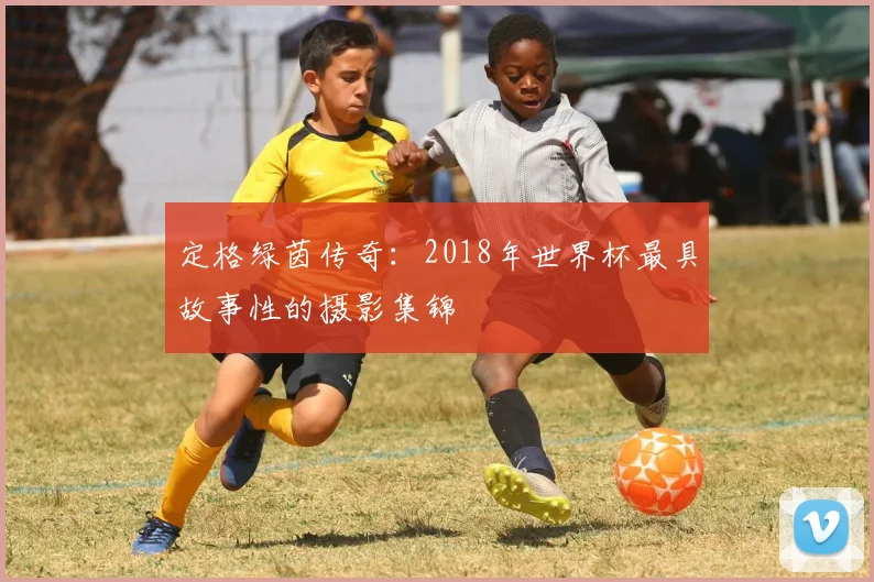 定格绿茵传奇：2018年世界杯最具故事性的摄影集锦
