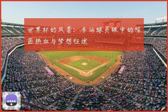 世界杯的风景：专访球员眼中的绿茵热血与梦想征途