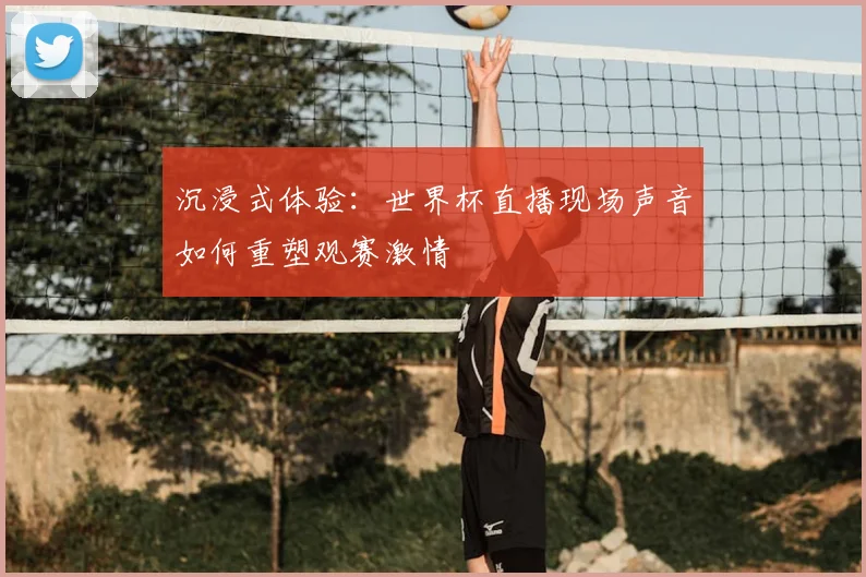 沉浸式体验：世界杯直播现场声音如何重塑观赛激情