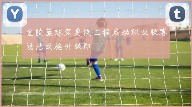 金陵篮球架更换工程启动职业联赛场地设施升级即