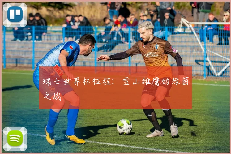 瑞士世界杯征程：雪山雄鹰的绿茵之战