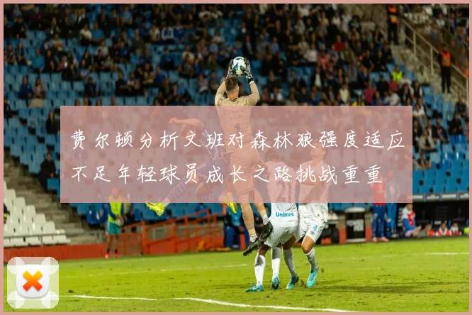 费尔顿分析文班对森林狼强度适应不足年轻球员成长之路挑战重重