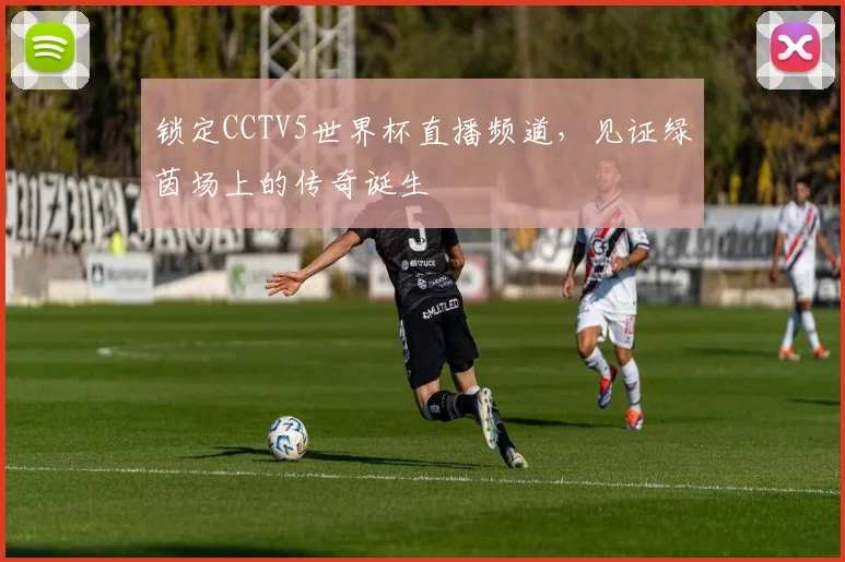 锁定CCTV5世界杯直播频道,见证绿茵场上的传奇诞生