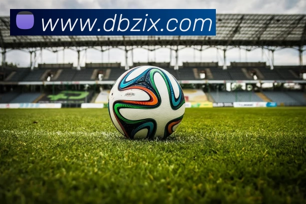 星空体育服务体系